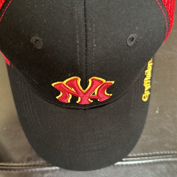 NY Yankees Harry Potter Gryffindor hat - Picture 13 of 16